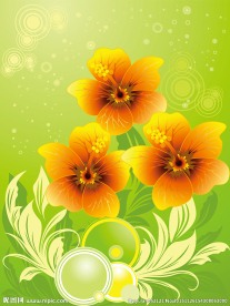 花卉装饰背景矢量素材