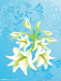 多彩花卉装饰背景矢量素材