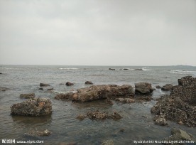 黄海
