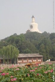 北海公园白塔