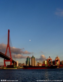 杨浦大桥