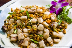 豆豆