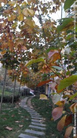 小区风景 漂亮风景