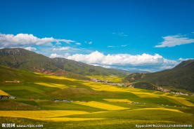 卓尔山风光