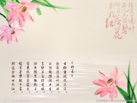 古典粉色映日荷花壁画电视背景墙