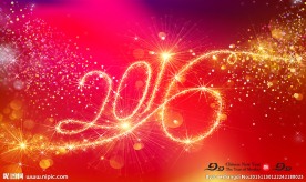 2016   猴年