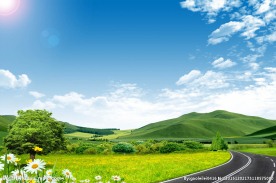 魅力的草原风光