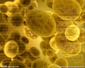 生命科学动态视频