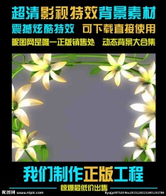 梦幻的藤条花朵边框视频素材