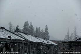 落雪