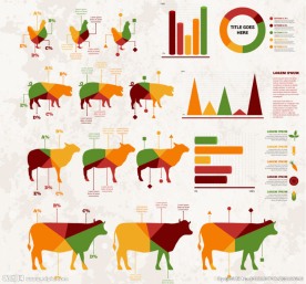 畜牧产品 商务信息图