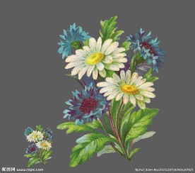 矢量花卉