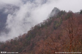 山峦云海
