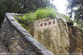 泰山景