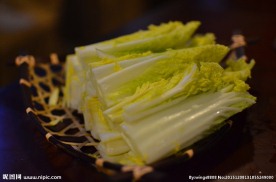 高山菜 娃娃菜