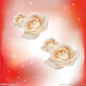 丝巾 图案 花纹