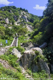 泰山景色
