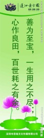 素食文化标语