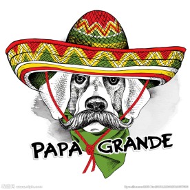 西部牛仔风格 搞怪装扮动物 狗