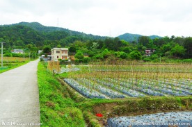 山水田园 田园风光