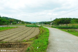 乡村公路 田园风光
