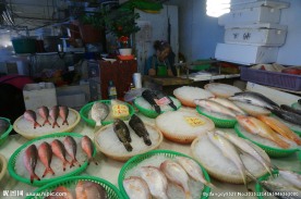 鱼市