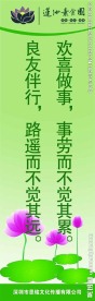 素食文化挂图