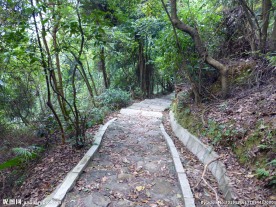 山中小道