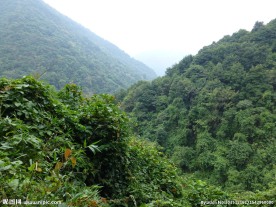 山中风光
