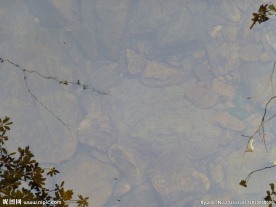 水中倒影