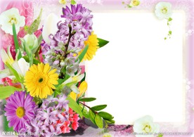 高清鲜花相框装饰框架