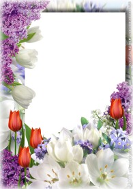 高清鲜花相框装饰框架