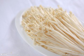金针蘑
