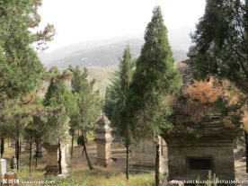 嵩山少林寺塔林