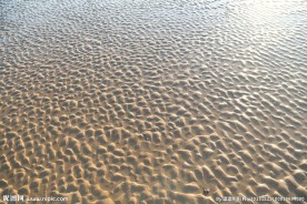 海中沙