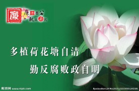 多树荷花塘自清