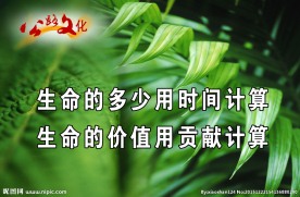 生命的多少时间计算