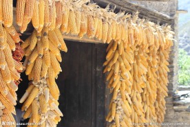 玉米串