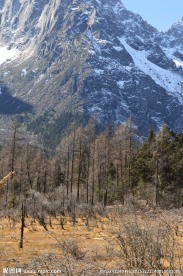 毕棚沟雪山