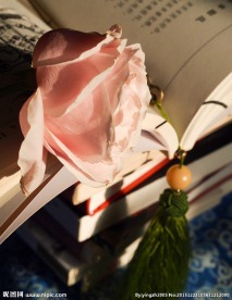 花朵与书籍