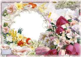高清鲜花相框装饰框架