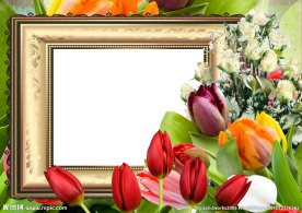 高清鲜花相框装饰框架