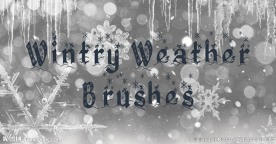 冬天冰花笔刷