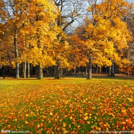 秋季图片素材