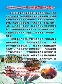 渔业彩页