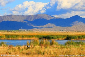 喀纳斯地质公园