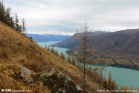 喀纳斯地质公园