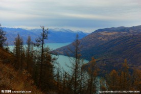 喀纳斯地质公园