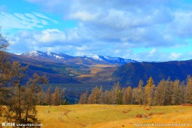 新疆禾木风光