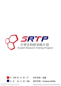 SRTP 标
